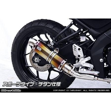 WirusWin（ウイルズウィン） ダイナミックマフラー スポーツタイプ