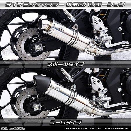 WirusWin（ウイルズウィン） ダイナミックマフラー スポーツタイプ