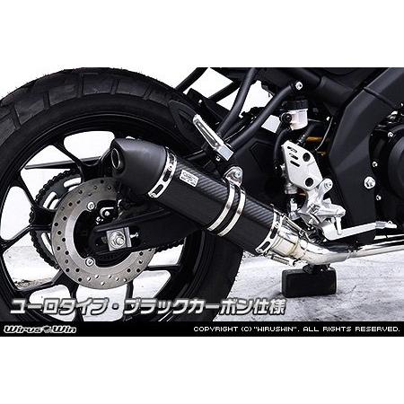 WirusWin（ウイルズウィン） ダイナミックマフラー ユーロタイプ