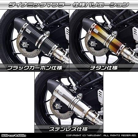 WirusWin（ウイルズウィン） ダイナミックマフラー ユーロタイプ