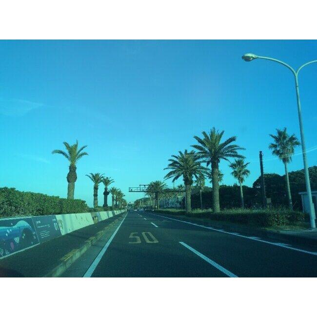 T’s ティーズ VAS-V シールド ミラーコーティングカラー：チタンブルー RX-7X FIM Racing#1 ASTRAL-X RAPIDE-NEO XD ASTRO-GX VECTOR-X XO ヘルメットシールド | ブランド登録なし | 06