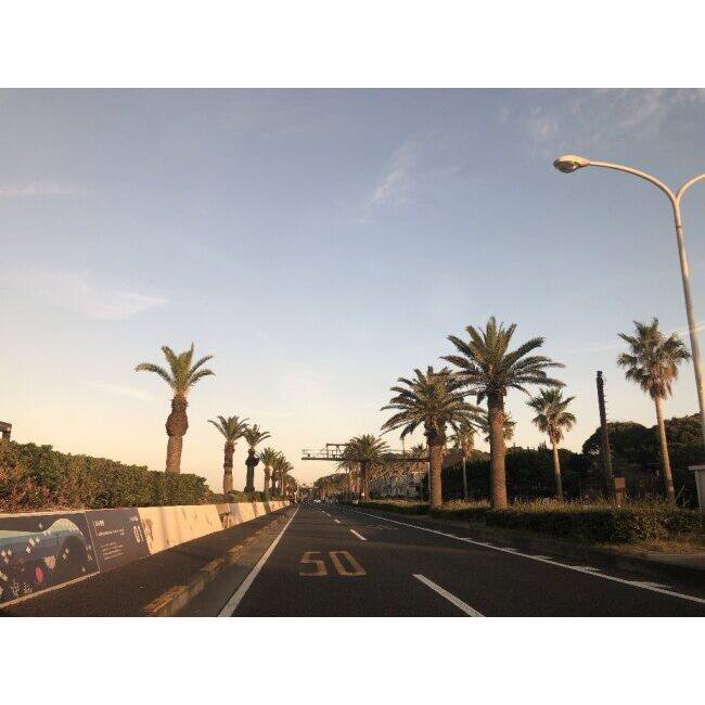 T’s ティーズ VAS-V シールド ミラーコーティングカラー：チタンオレンジ RX-7X FIM Racing#1 ASTRAL-X RAPIDE-NEO XD ASTRO-GX VECTOR-X XO ヘルメット | ブランド登録なし | 08