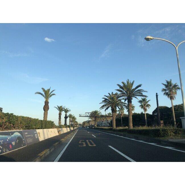 T’s ティーズ CWR-F2R PINLOCK シールド ミラーコーティングカラー：チタンレッド X-Fifteen(標準シールド) Z-8 ヘルメットシールド ヘルメット | ブランド登録なし | 02