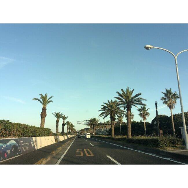 T’s ティーズ CWR-F2R PINLOCK シールド ミラーコーティングカラー：チタンレッド X-Fifteen(標準シールド) Z-8 ヘルメットシールド ヘルメット | ブランド登録なし | 03