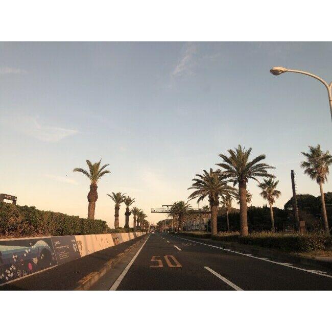 T’s ティーズ CWR-F2R PINLOCK シールド ミラーコーティングカラー：チタンレッド X-Fifteen(標準シールド) Z-8 ヘルメットシールド ヘルメット | ブランド登録なし | 06