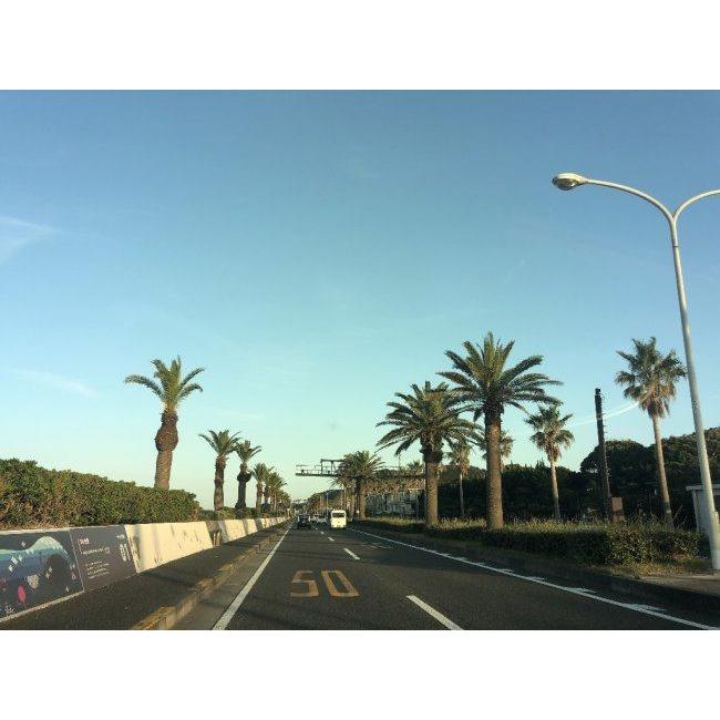 T’s ティーズ CWR-F2R PINLOCK シールド X-Fifteen(標準シールド) Z-8 ヘルメットシールド ヘルメット | ブランド登録なし | 03