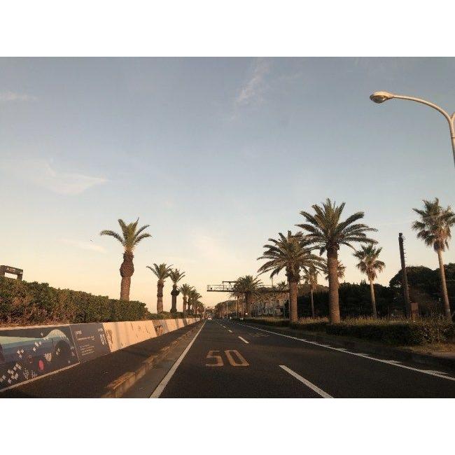 T’s ティーズ CWR-F2R PINLOCK シールド X-Fifteen(標準シールド) Z-8 ヘルメットシールド ヘルメット | ブランド登録なし | 06