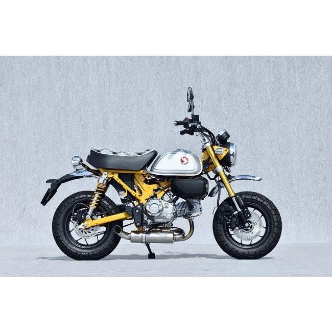 YAMAMOTO RACING（ヤマモトレーシング） SPEC-A チタン DOWN TYPE-1