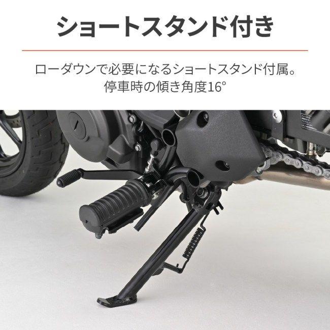 DAYTONA（デイトナ） ローダウンキット ELIMINATOR SE KAWASAKI