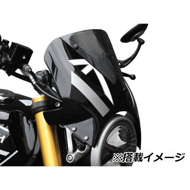 P&A International P&Aインターナショナル ヘッドライトフェアリング