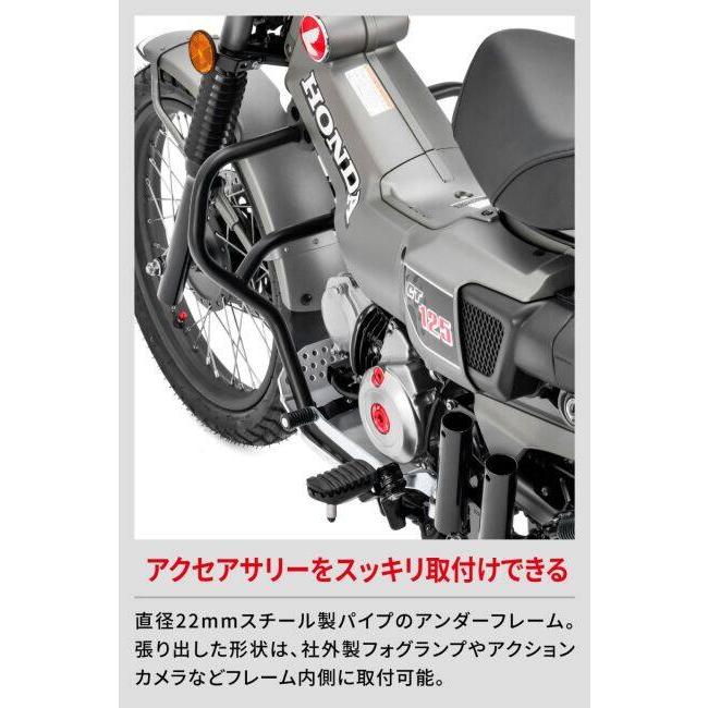 ZETA RACING ジータ レーシング エンジンプロテクション アンダー