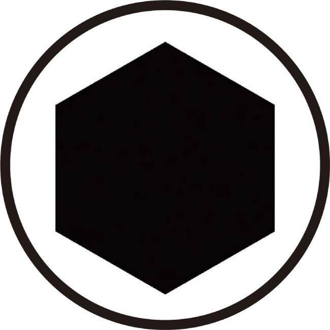 WERA ヴェラ 差込9X12mmジョイント用 ビットアダプター ドライバービット ハンドツール