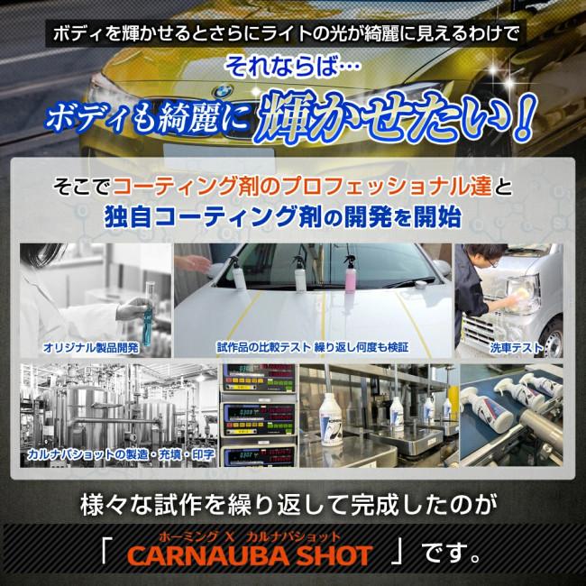 DELTA DIRECT デルタダイレクト ホーミングX カルナバショット 撥水コーティング剤／クロス／アプリケーターセット ケミカル | デルタダイレクト | 05