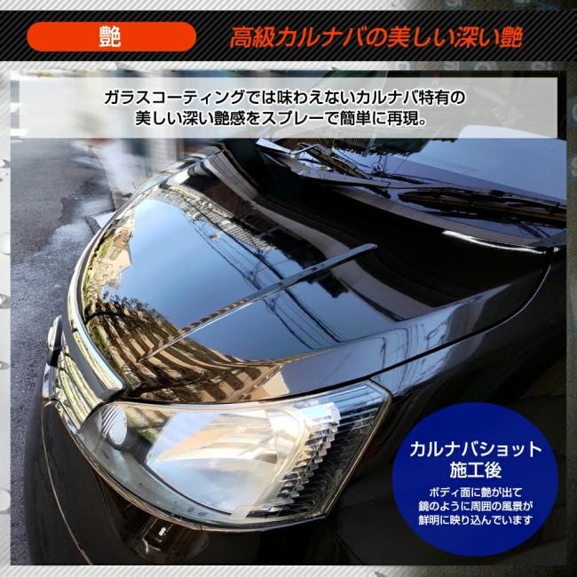 DELTA DIRECT デルタダイレクト ホーミングX カルナバショット 撥水コーティング剤／クロス／アプリケーターセット ケミカル | デルタダイレクト | 08