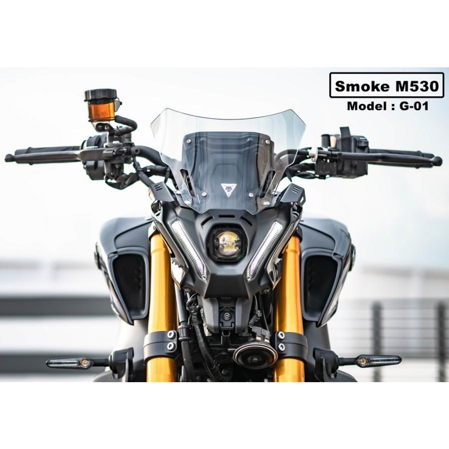 Were Wolf:ウェルウォルフ Windshield G-01 for MT-09 21-23 カラー