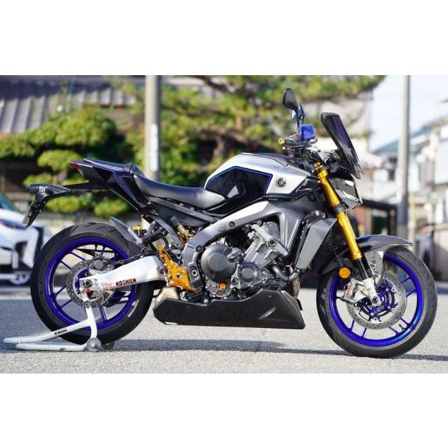 EIGHT(才谷屋) エイト(サイタニヤ) フロントバイザースクリーン