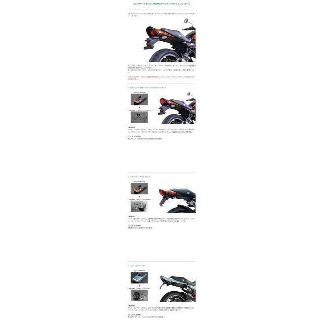 ARCHI アーキ ロングテールカウル Z900RS CAFE KAWASAKI カワサキ シートカウル・テールカウル カウル関連 外装の画像