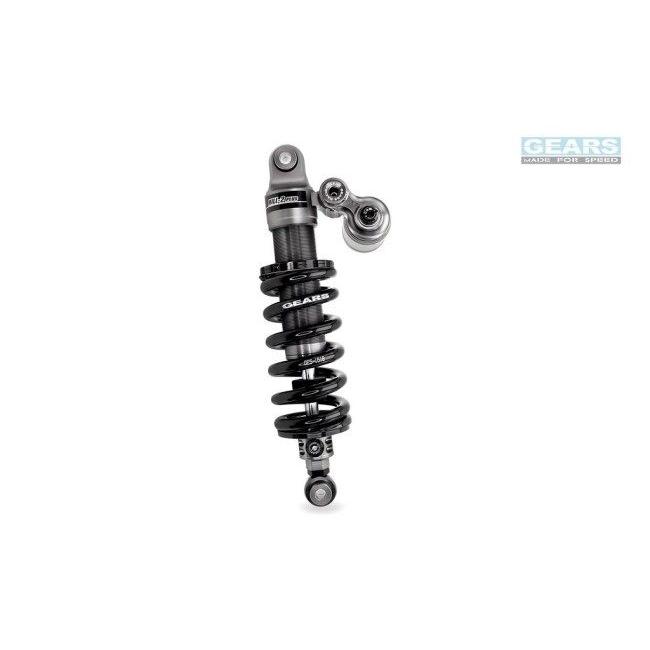 GEARS RACING ギアーズレーシング H2P リアサスペンション R