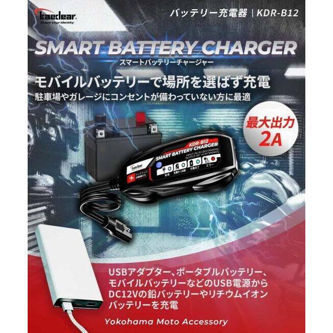 Kaedear（カエディア） KDR-B12 スマートバッテリーチャージャー