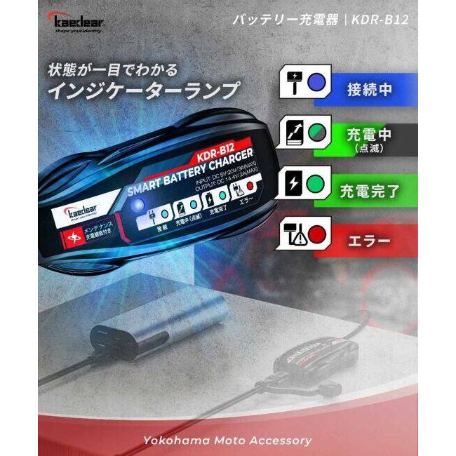 Kaedear（カエディア） KDR-B12 スマートバッテリーチャージャー