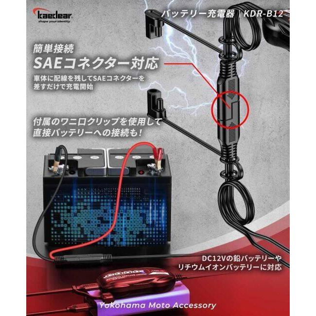 Kaedear（カエディア） KDR-B12 スマートバッテリーチャージャー