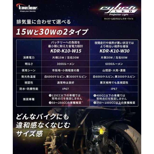 Kaedear（カエディア） KDR-K10-W15 Cyber LED プロジェクター ライト