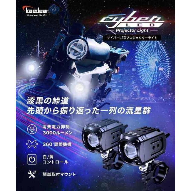Kaedear（カエディア） KDR-K11-W30 Cyber LED プロジェクター ライト