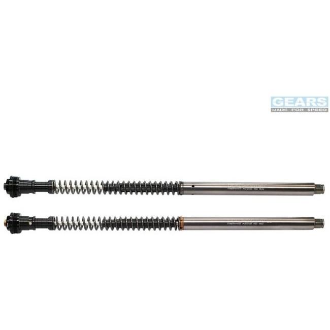 GEARS RACING ギアーズレーシング FFC-250T フロントフォークカートリッジ 倒立フォーク NINJA ZX14R KAWASAKI カワサキ カートリッジキット サスペンション | ブランド登録なし | 05