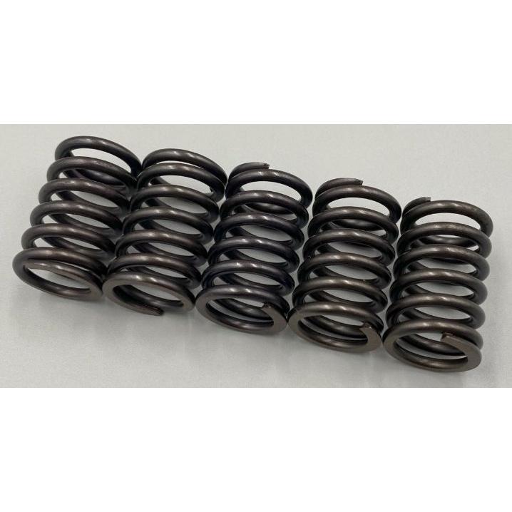 エムテック中京 M-TEC中京 クラッチスプリングセット Z1 Z2 Z750 Z1000