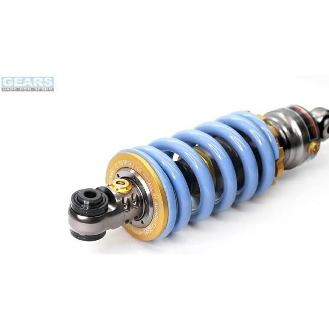 た GEARS RACING ギアーズレーシング H2P リアサスペンション ZX-4RR (24