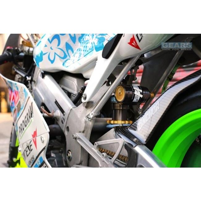 GEARS RACING ギアーズレーシング H2P リアサスペンション NSF 250