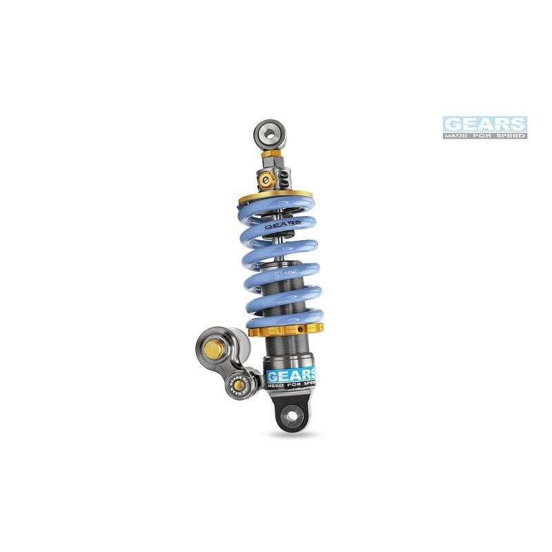 GEARS RACING ギアーズレーシング H2P リアサスペンション RS 660