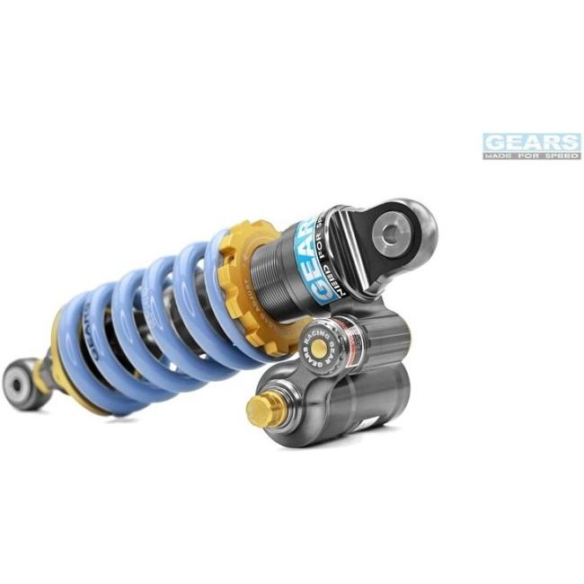 GEARS RACING ギアーズレーシング H2P リアサスペンション RS 660