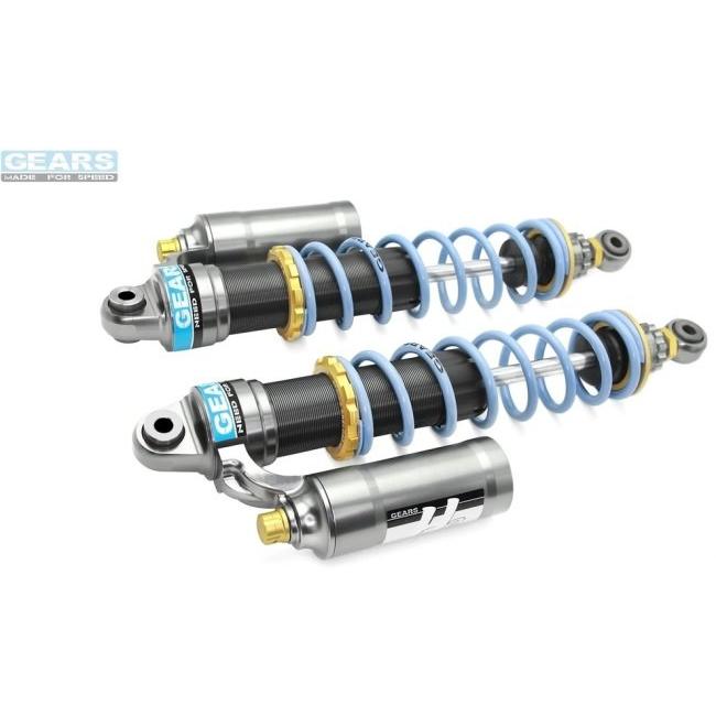 GEARS RACING ギアーズレーシング EV2 リアサスペンション G310R