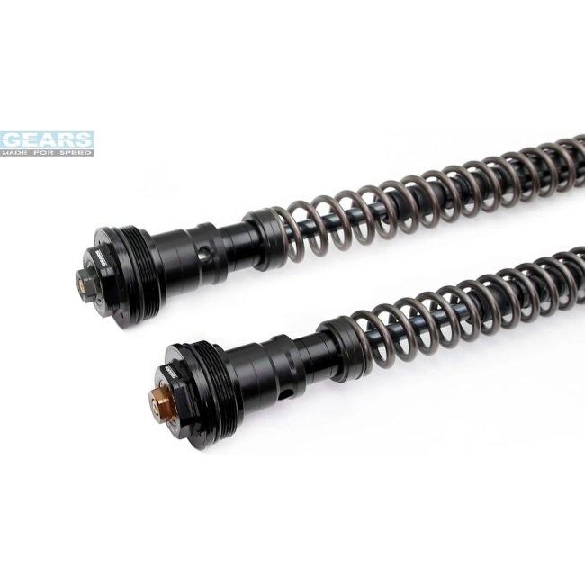 GEARS RACING ギアーズレーシング FFC-250-TT フロントフォーク