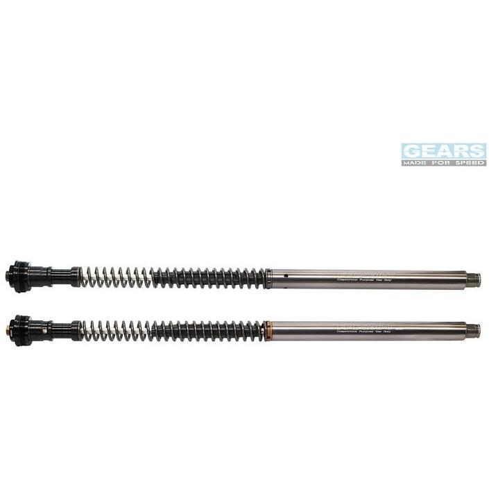 GEARS RACING ギアーズレーシング FFC-250T フロントフォークカートリッジ 正立フォーク HORNET250 (06-) HORNET 250 HONDA ホンダ カートリッジキット 足回り | ブランド登録なし