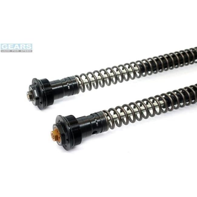 GEARS RACING ギアーズレーシング FFC-250T フロントフォークカートリッジ 正立フォーク HORNET250 (06-) HORNET 250 HONDA ホンダ カートリッジキット 足回り | ブランド登録なし | 03