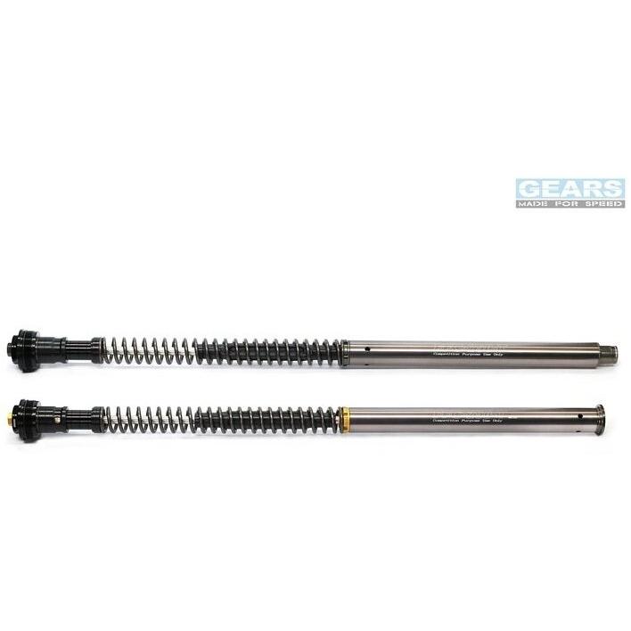 GEARS RACING ギアーズレーシング FFC-250TT フロントフォーク
