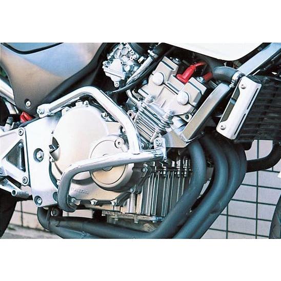 ホーネット250 スラッシュガード GOLDMEDAL（ゴールドメダル） スラッシュガード カラー：ブルー