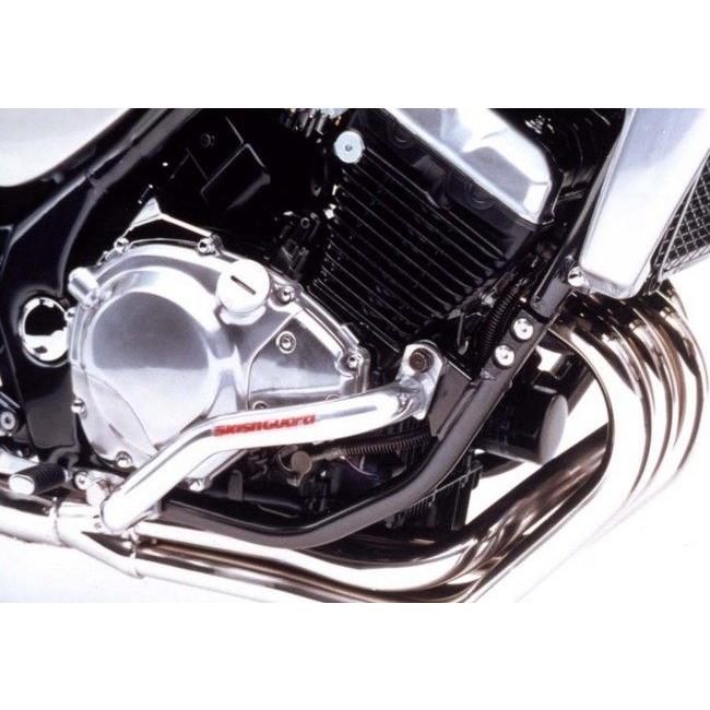 GOLDMEDAL ゴールドメダル スラッシュガード カラー：ブルー バリオス2 バリオス KAWASAKI カワサキ エンジンガード フレーム | GOLDMEDAL | 01