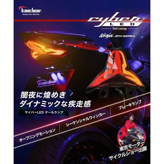Kaedear（カエディア） Cyber LED カスタムテールランプ Ninja ZX-25R