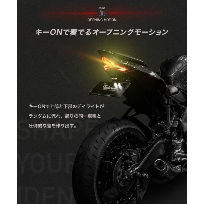 Kaedear（カエディア） Cyber LED カスタムテールランプ Ninja ZX-25R
