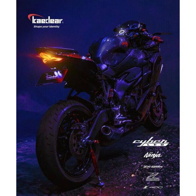Kaedear（カエディア） Cyber LED カスタムテールランプ Ninja ZX-25R