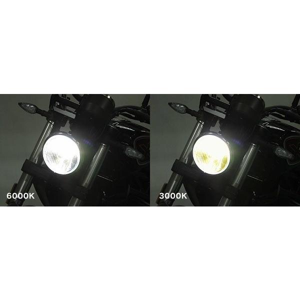 PROTEC（プロテック） LHL-HD4 LEDヘッドライトバルブkit(ライトレス