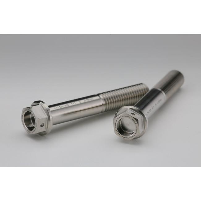 AELLA（アエラ） チタンキャリパーボルト S1000RR R1300GS M1000XR BMW