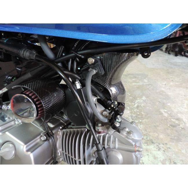CAT’S FACTORY キャッツファクトリー インジェクターカバー タイプ：カーボン モンキー125 HONDA ホンダ サイドカウル・サイドカバー カウル関連 外装_2