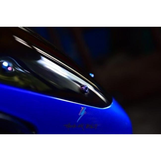 THUNDER BOLT サンダーボルト スクリーン チタンボルト 数量：10本