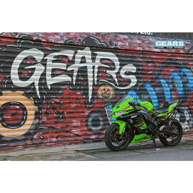 GEARS RACING ギアーズレーシング H2P リアサスペンション ZX-4RR (24