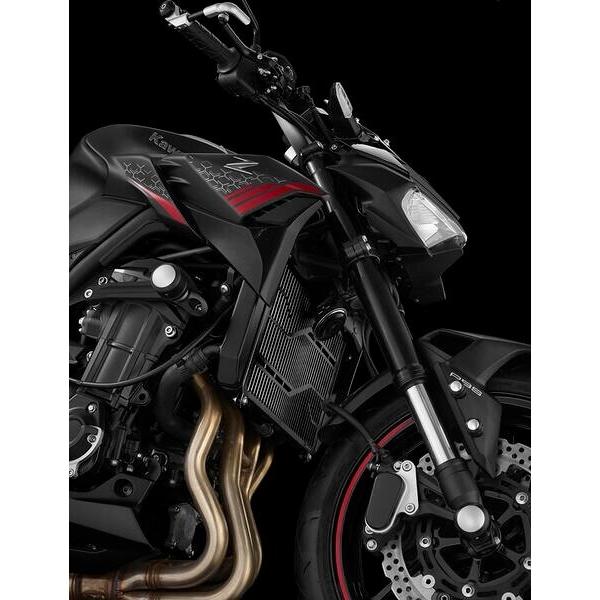 BIKERS バイカーズ チタンコーティングステンレスラジエーターガード (1.2 mm) カラー：ライトゴールド Z900 新型Z900 KAWASAKI カワサキ 冷却関連 エンジンの画像