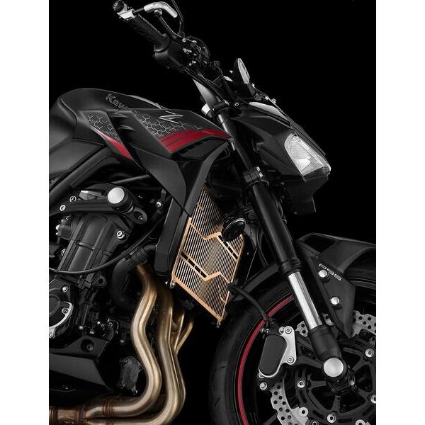 BIKERS バイカーズ チタンコーティングステンレスラジエーターガード (1.2 mm) カラー：ローズゴールド Z900 新型Z900 KAWASAKI カワサキ 冷却関連 エンジンの画像